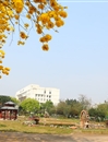 校园风光
